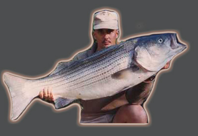Captain Fred Duncan Lake Allatoona Georgia Striper Bass Fishing Guide