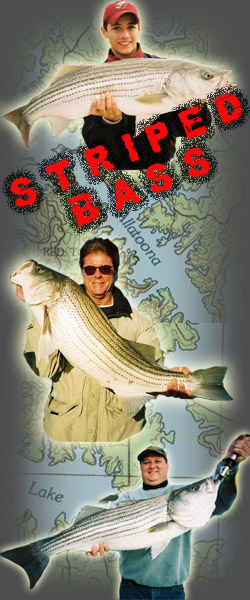 Lake Allatoona Fishing Guide Service