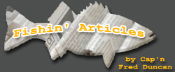 Lake Allatoona Fishing Guide Articles